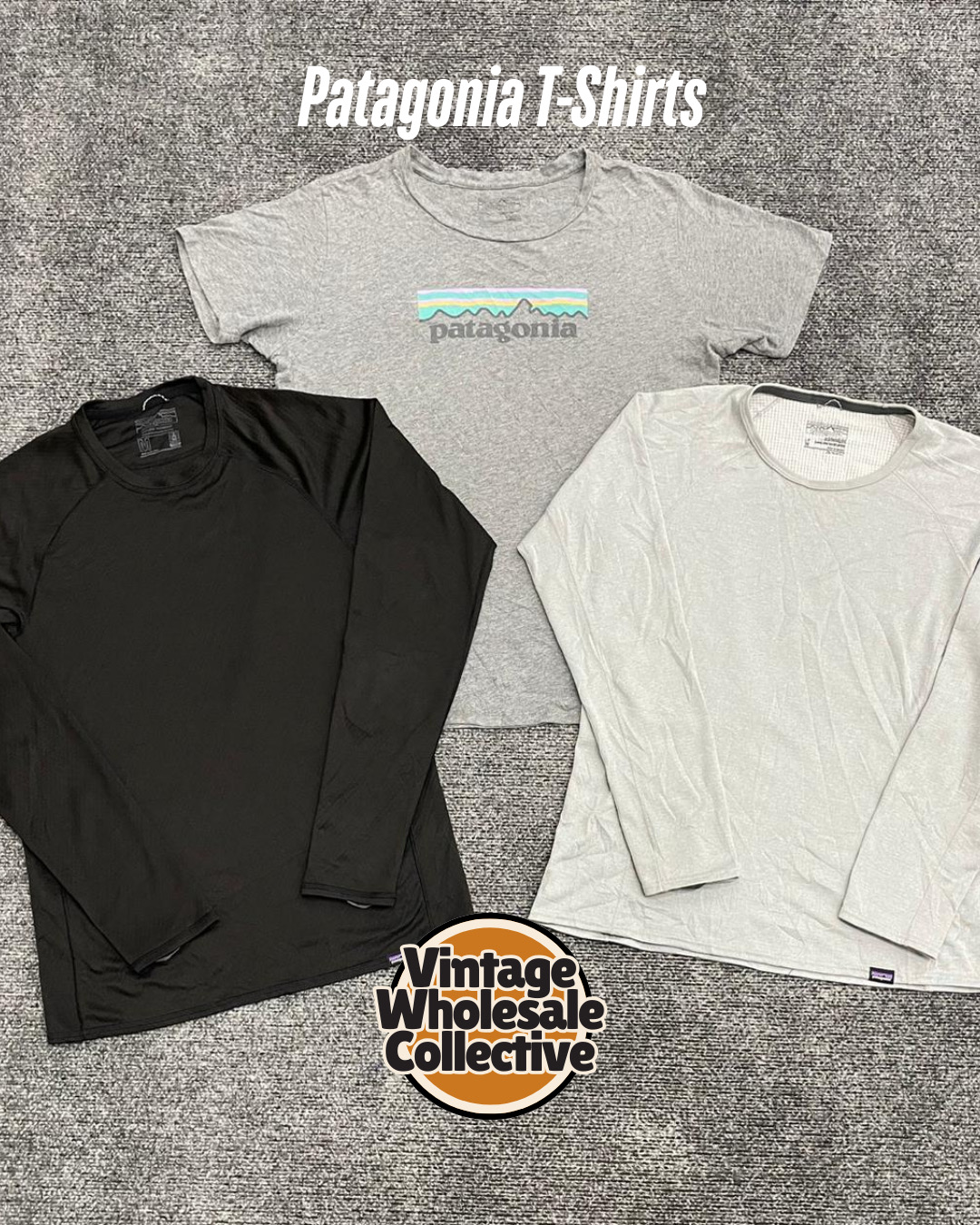 パタゴニア Tシャツ - (30/12)
