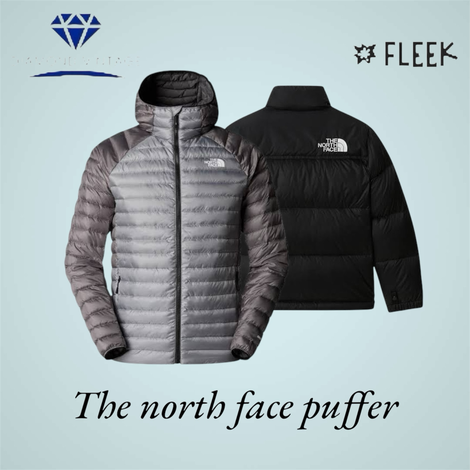 The north face Puffer (DV -01-17)