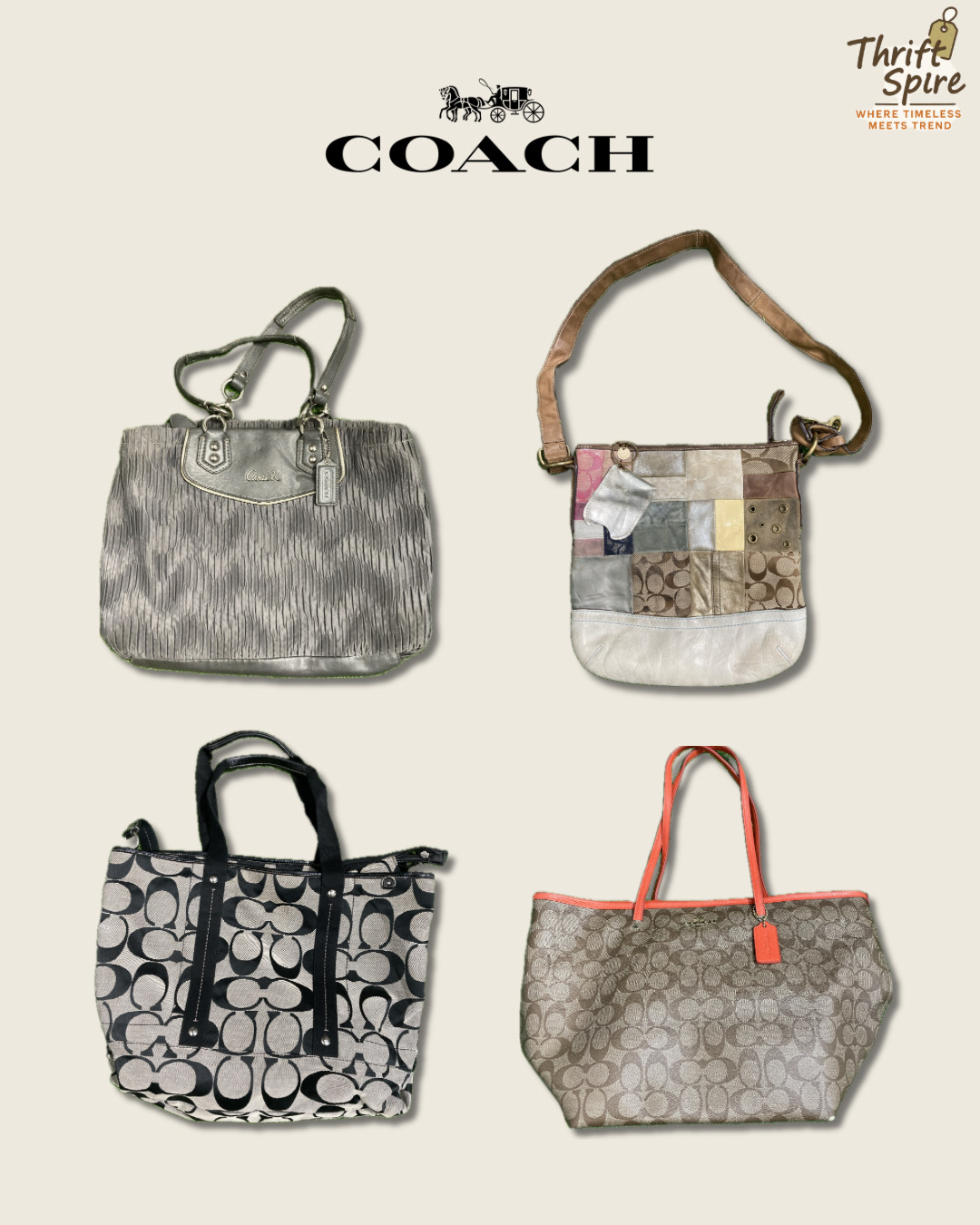 Sacs Coach - [TS-0363]