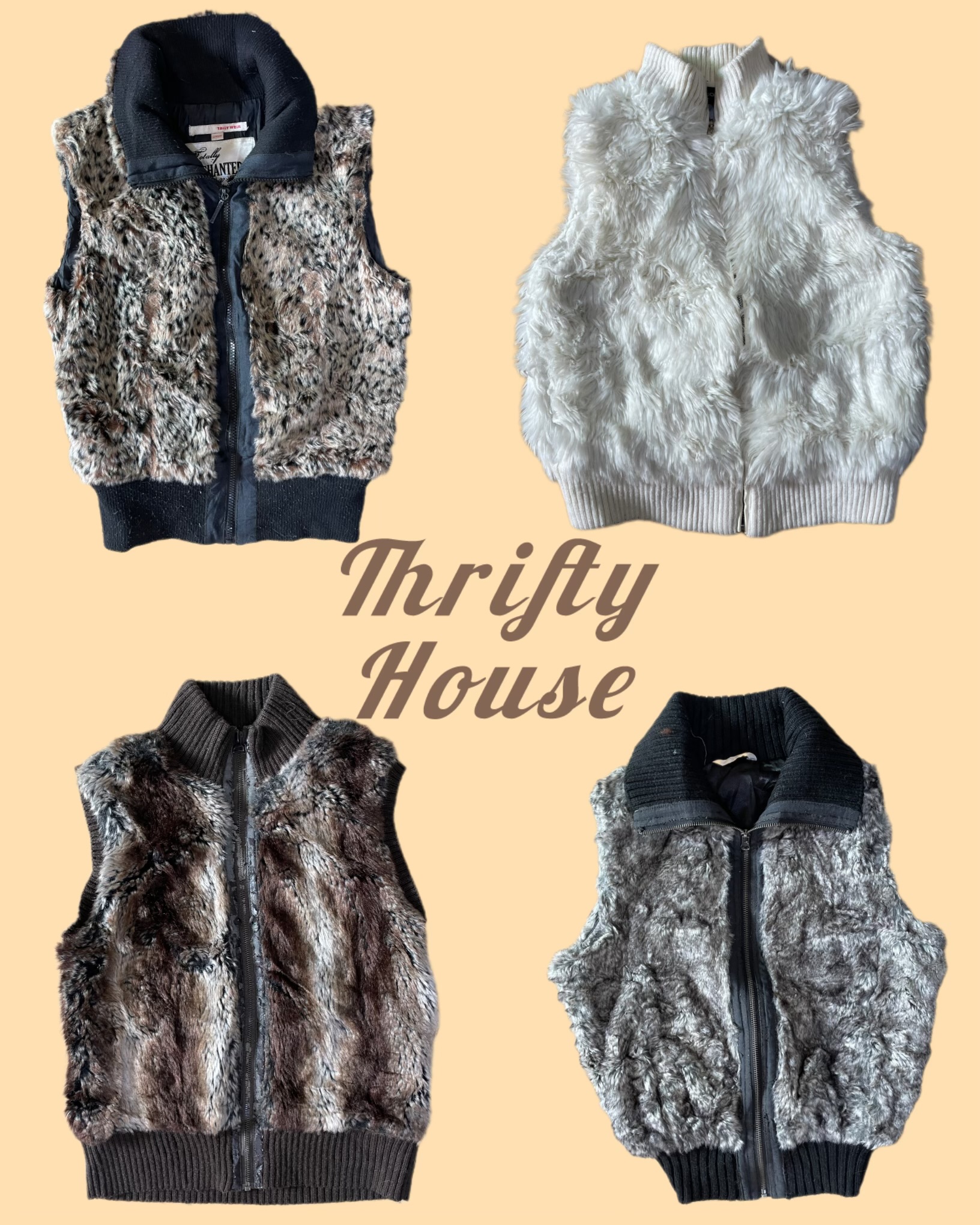 Y2k Boomber Style Fur Wasitcoat(TH/057)