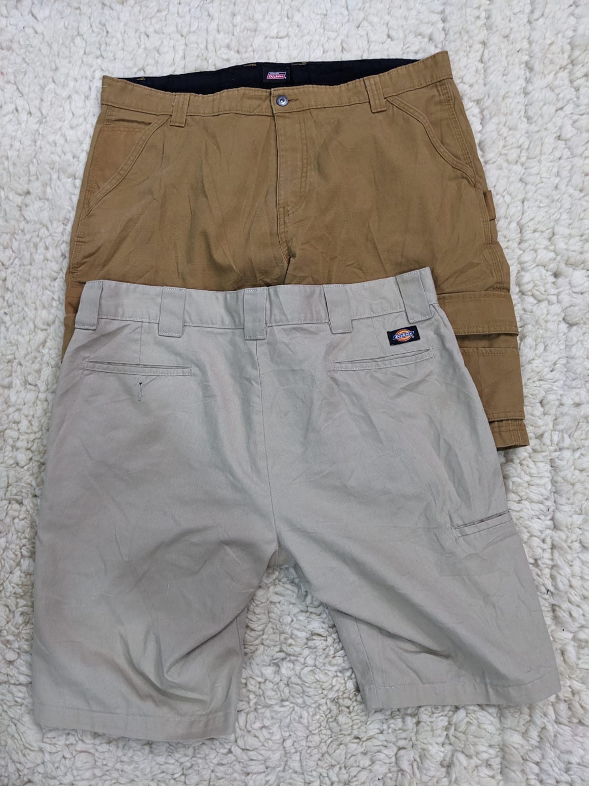 Dickies Shorts Mix