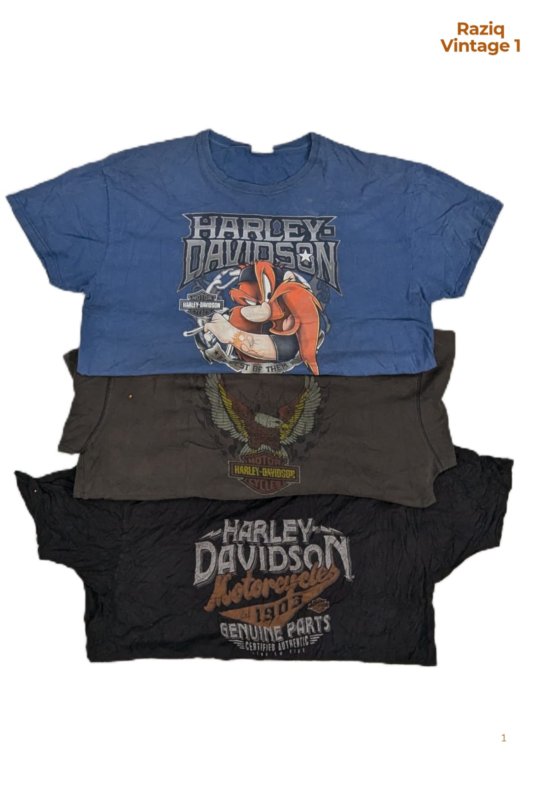 RV1674 Harley Davidson Tシャツ