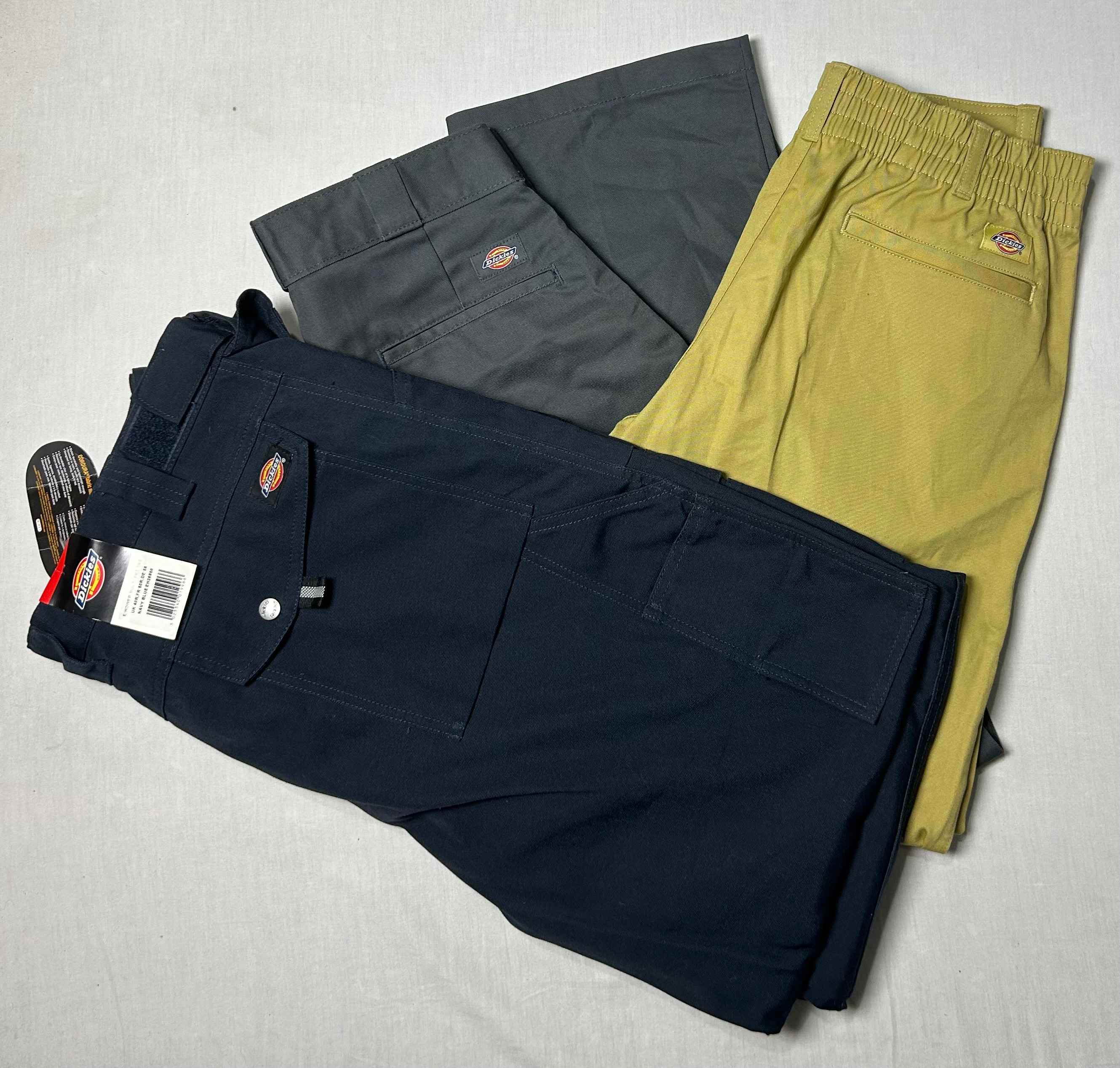 Dickies pants WR_0539