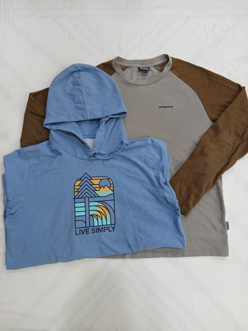 ZV1450 Patagonia フーディ スウェットシャツ