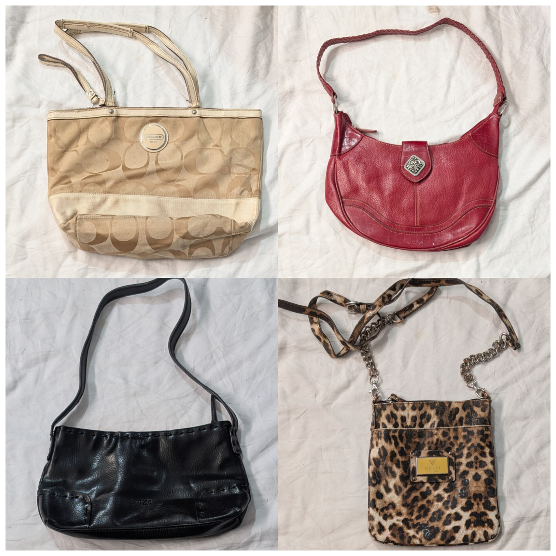 Borse di design (marche incluse) coach,prada, xoxo,etc