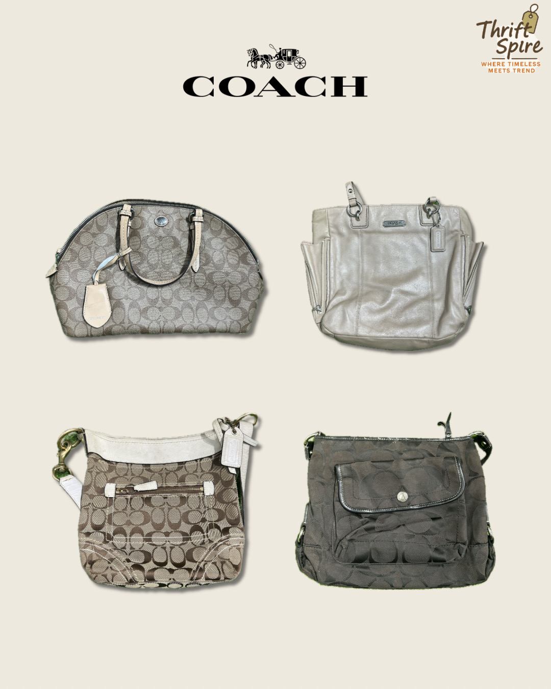 Borse Coach - [TS-0384]