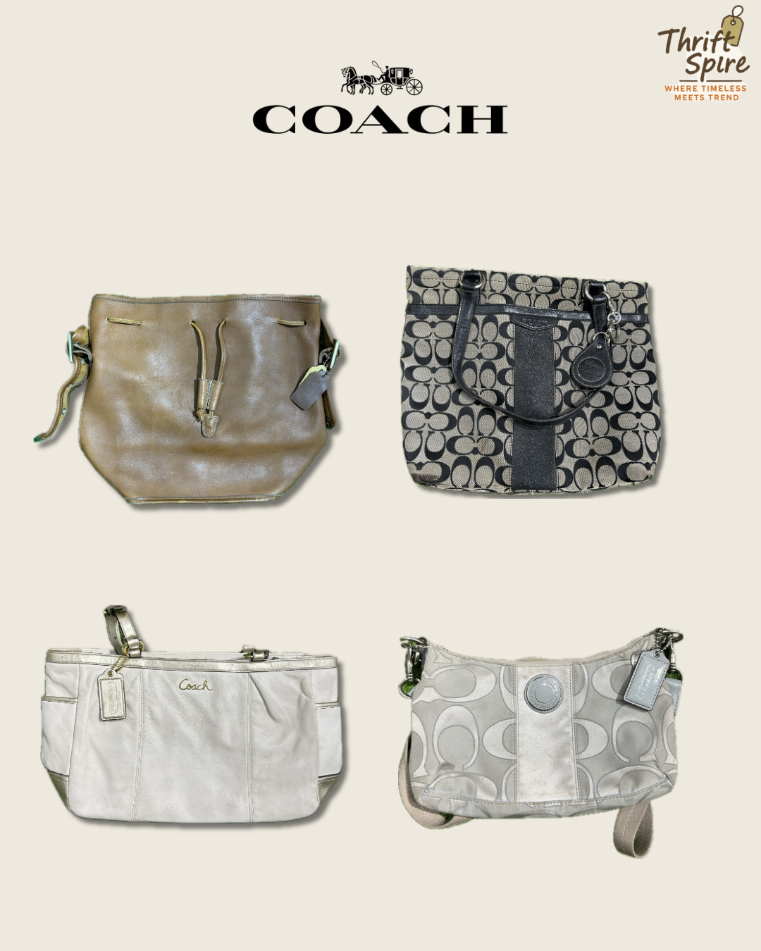 Borse Coach - [TS-0387]