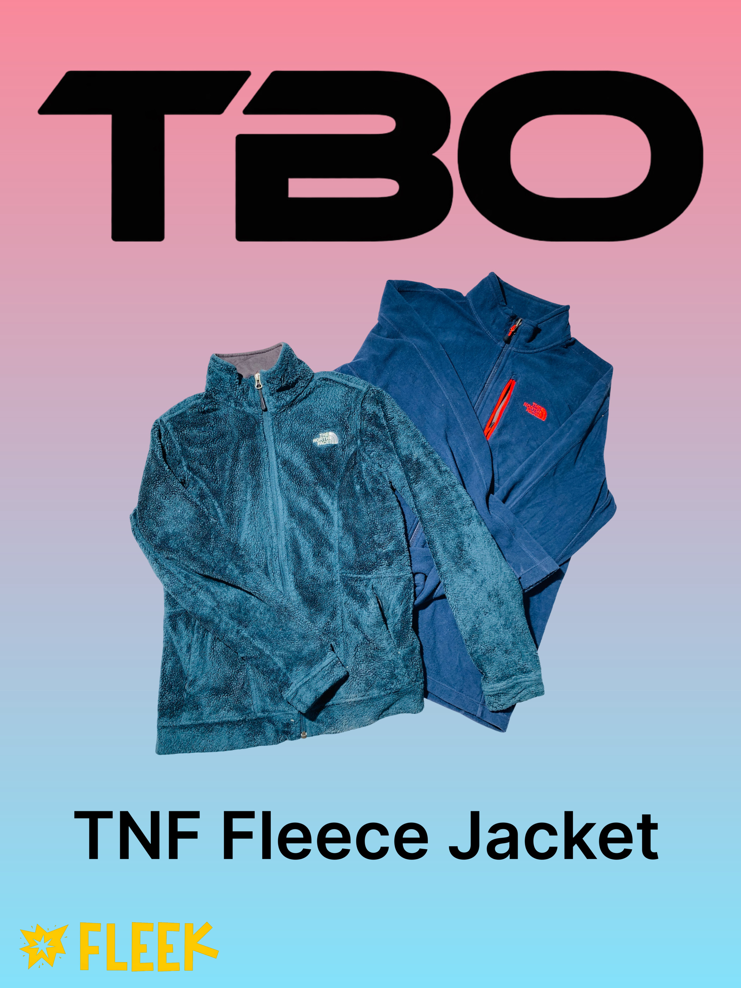 The North Face Jackets     (TBO-85)