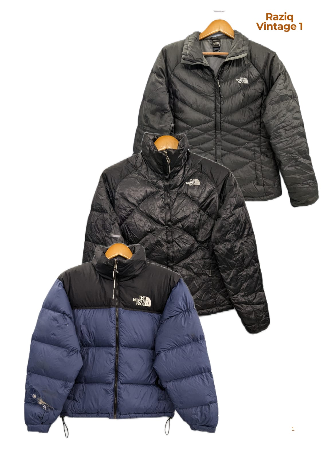 RV1815 The North face Puffer Jackets