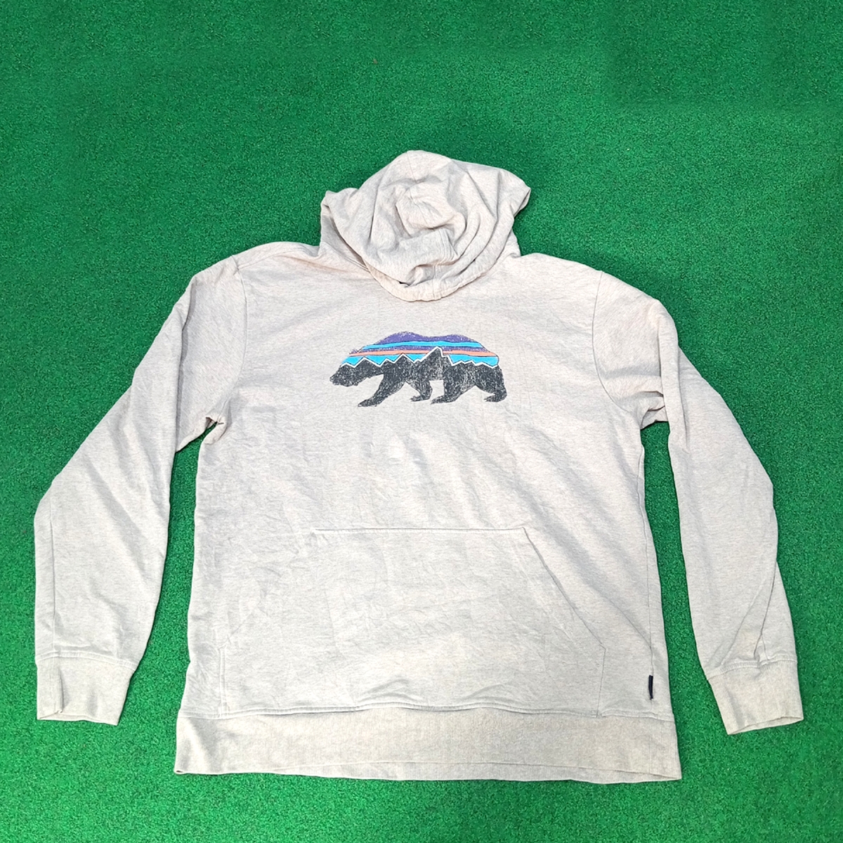 Mms098 Patagonia Hoodie
