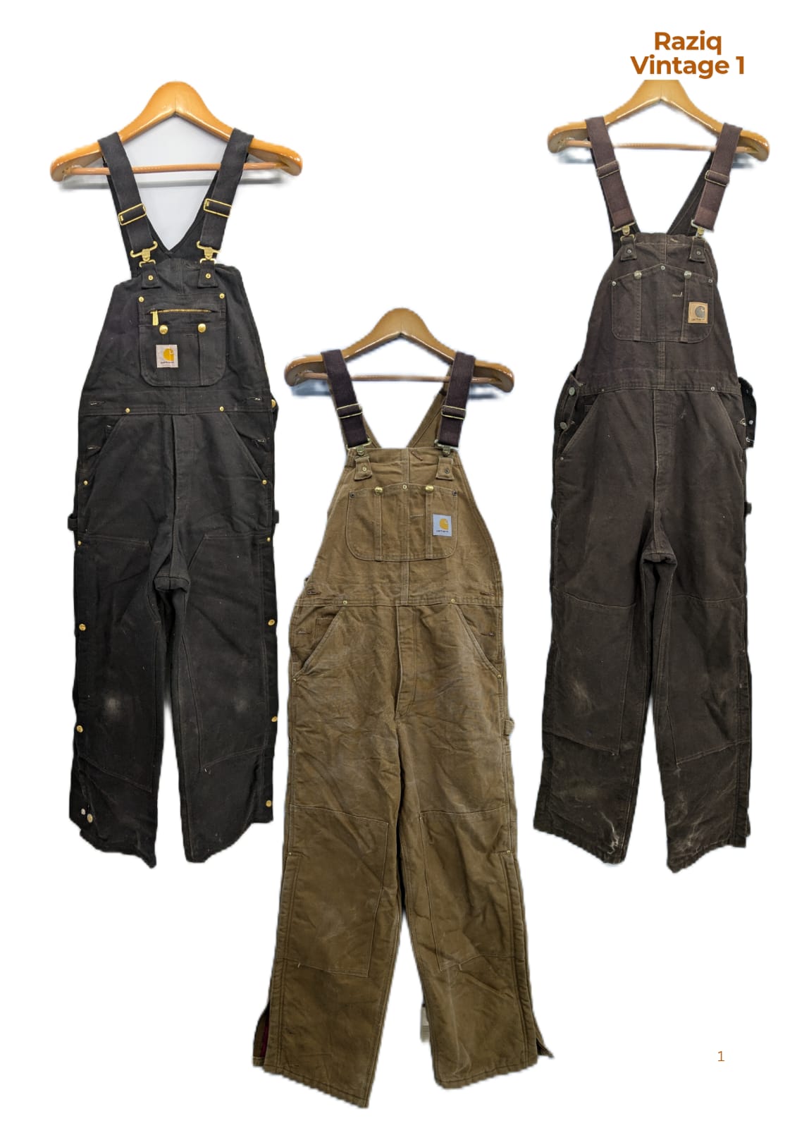 RV1818 Carhartt Dungarees