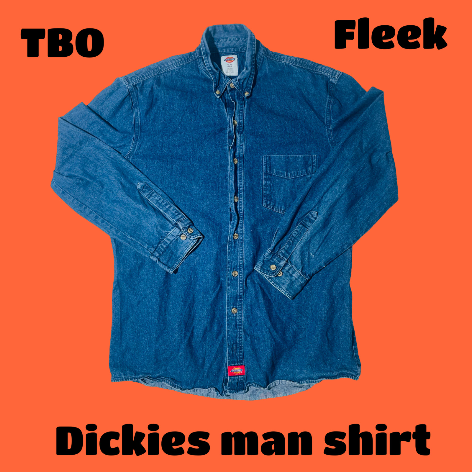 Dickies Man Shirt