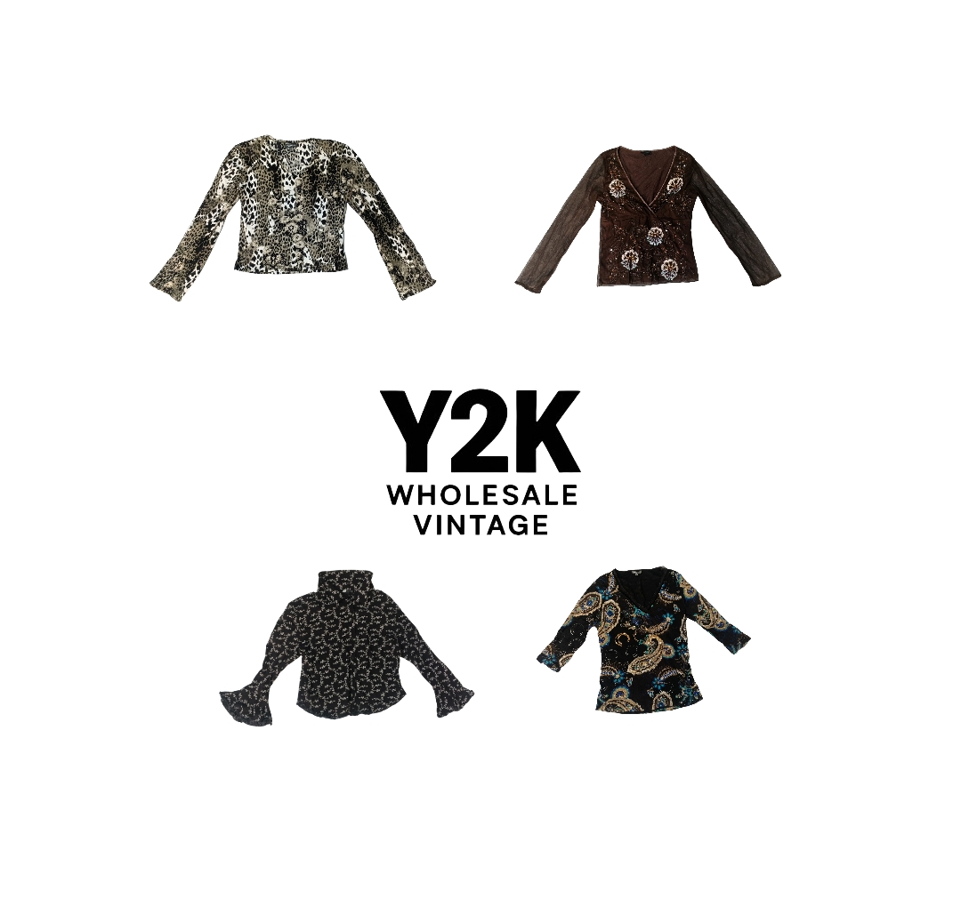 Y2K European Mesh Long sleeve Tops (YWV62)