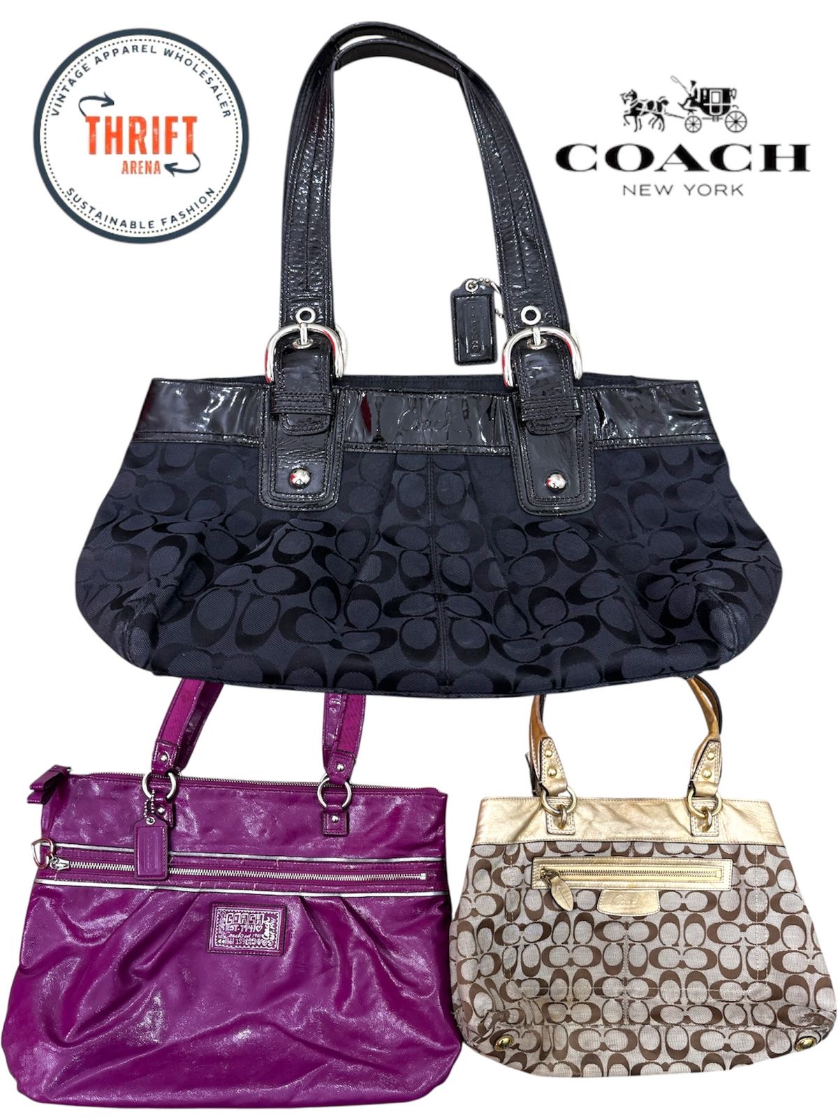 LX313 Premium Coach Bags