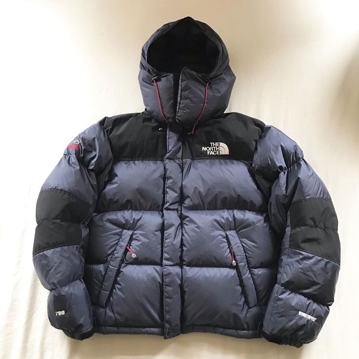 The North Face Men's 1996 Retro puffer Jacket 700