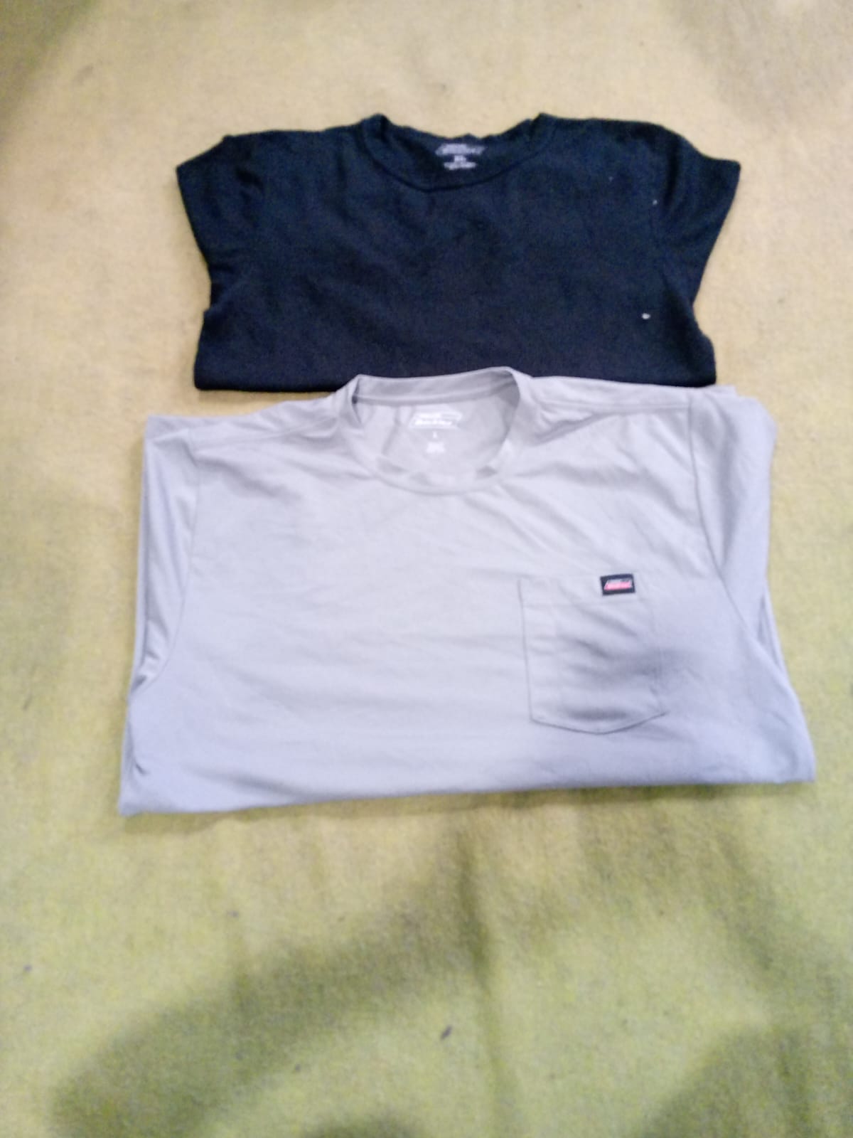 Dickies T-shirt