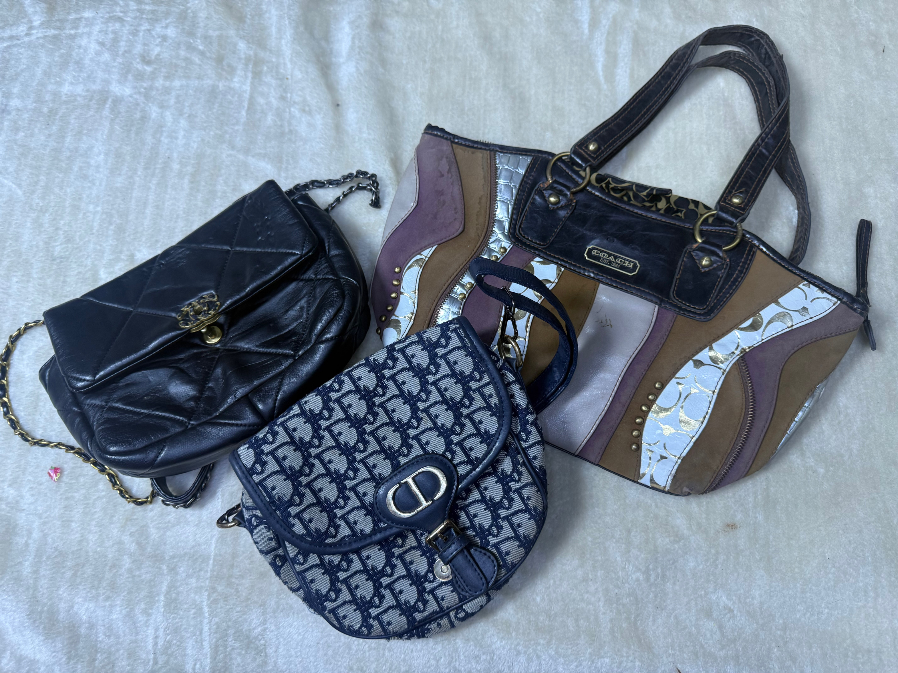 Borse Fendi, Dior, Coach