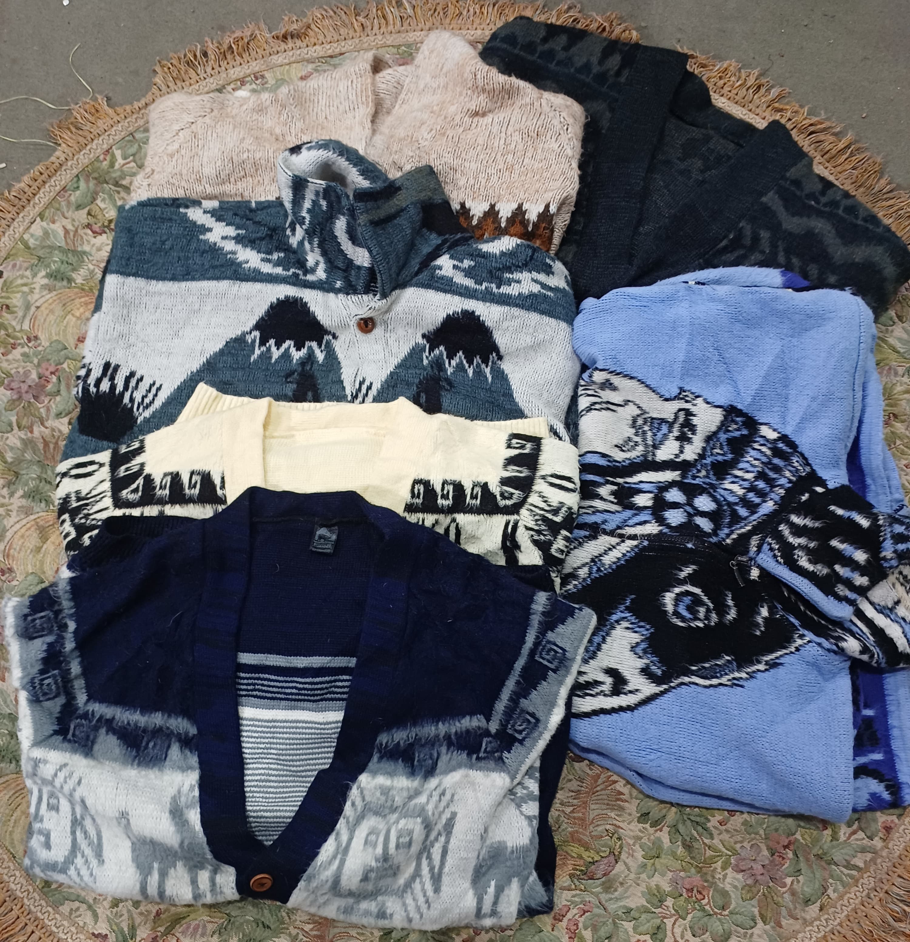 Veste en laine Alpha