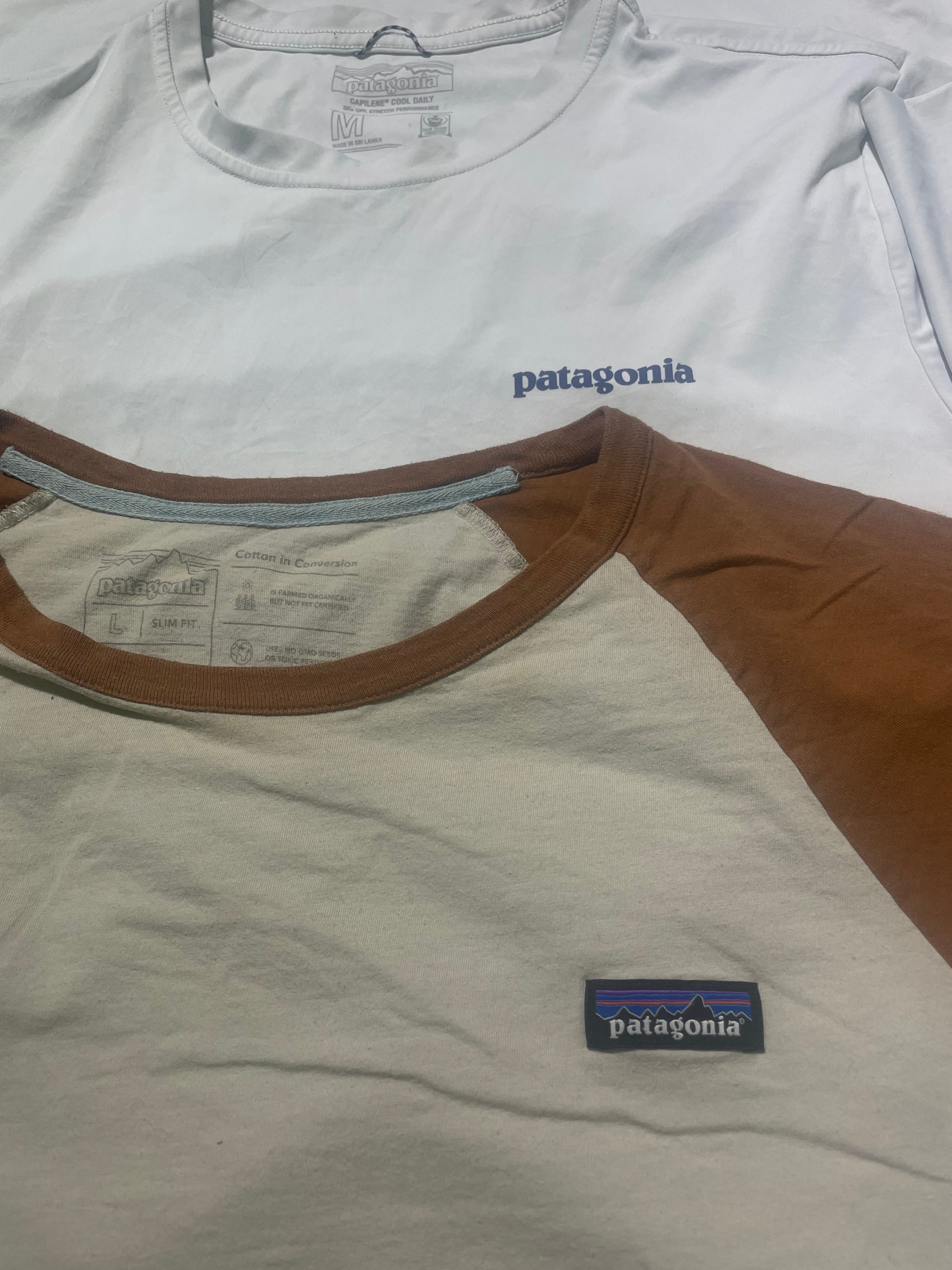「Patagonia Tシャツ」