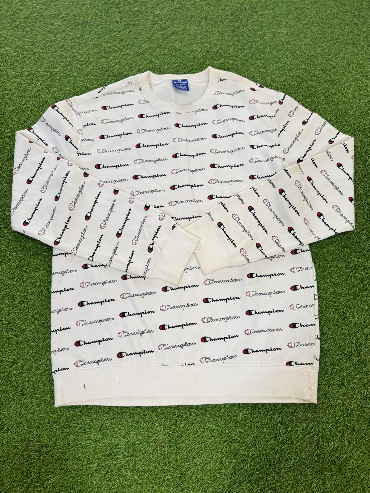 Champion Sweatshirt