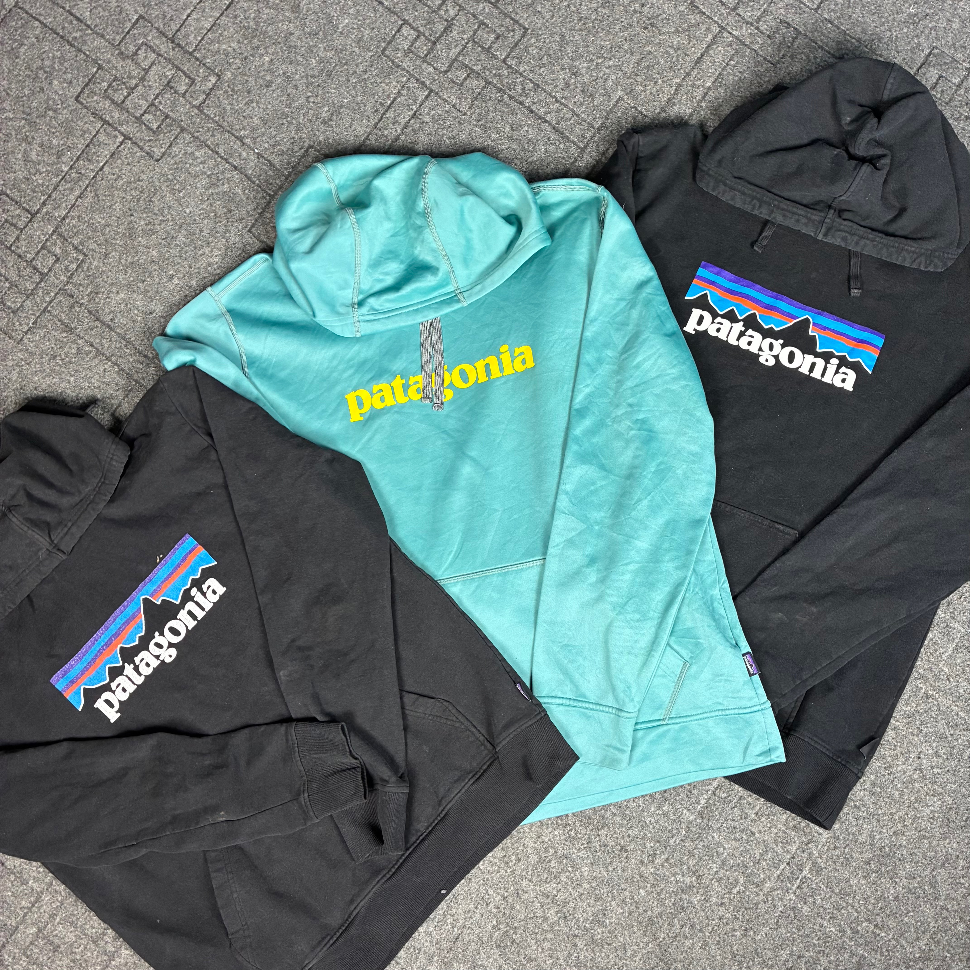Patagonia Sweatshirt (CV:216)
