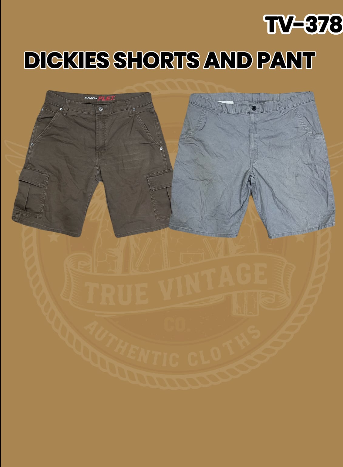 Dickies Shorts und Hosen TV-378