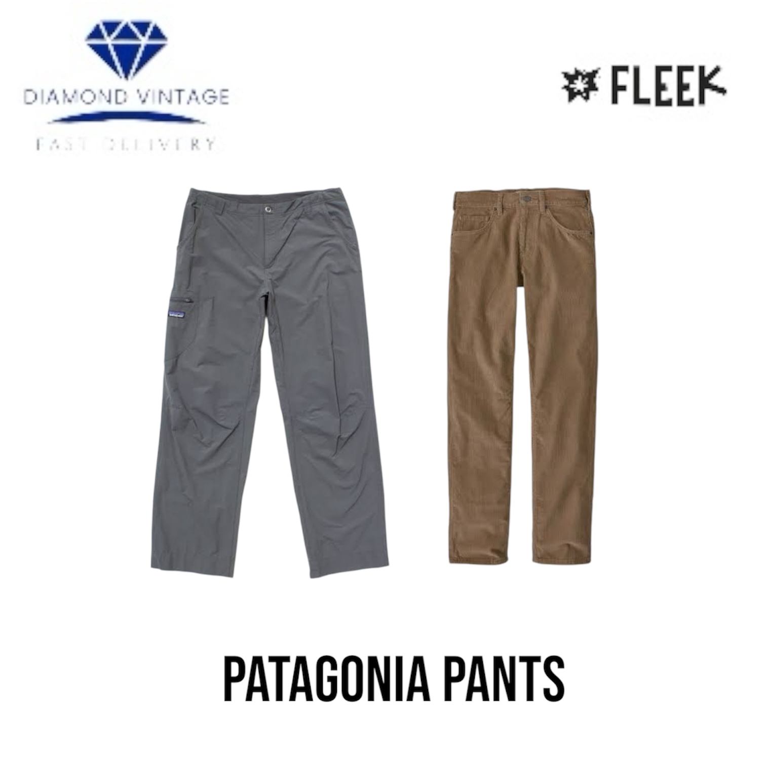 Patagonia Pants (Dv-2-189)