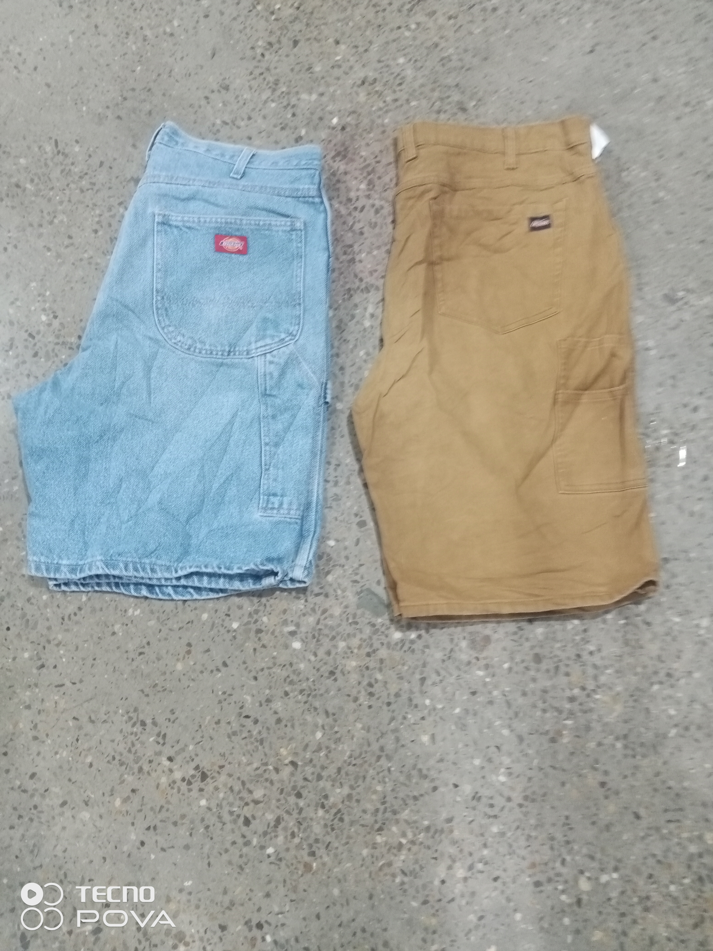 Dickies Shorts