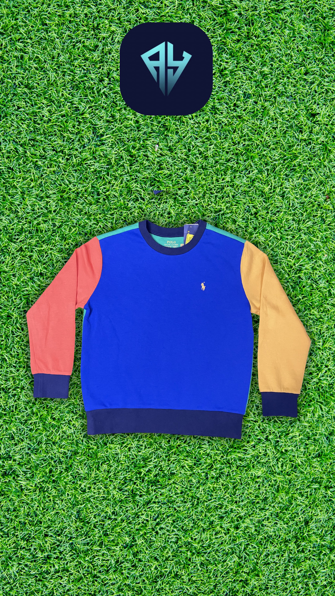 A.Y178 Kids Ralph Lauren sweatshirts and hoodies