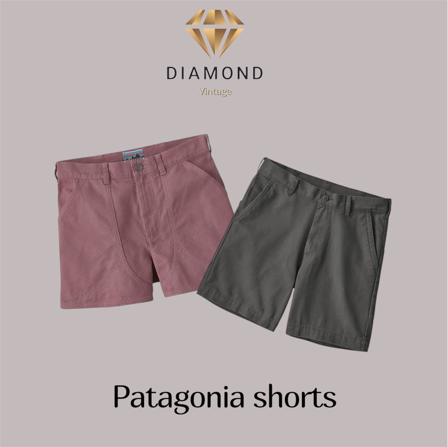 Patagonia Shorts (DV -02-297)