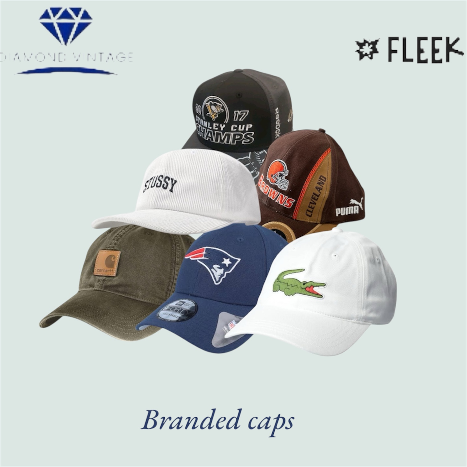 Branded Caps (DV -02-356)