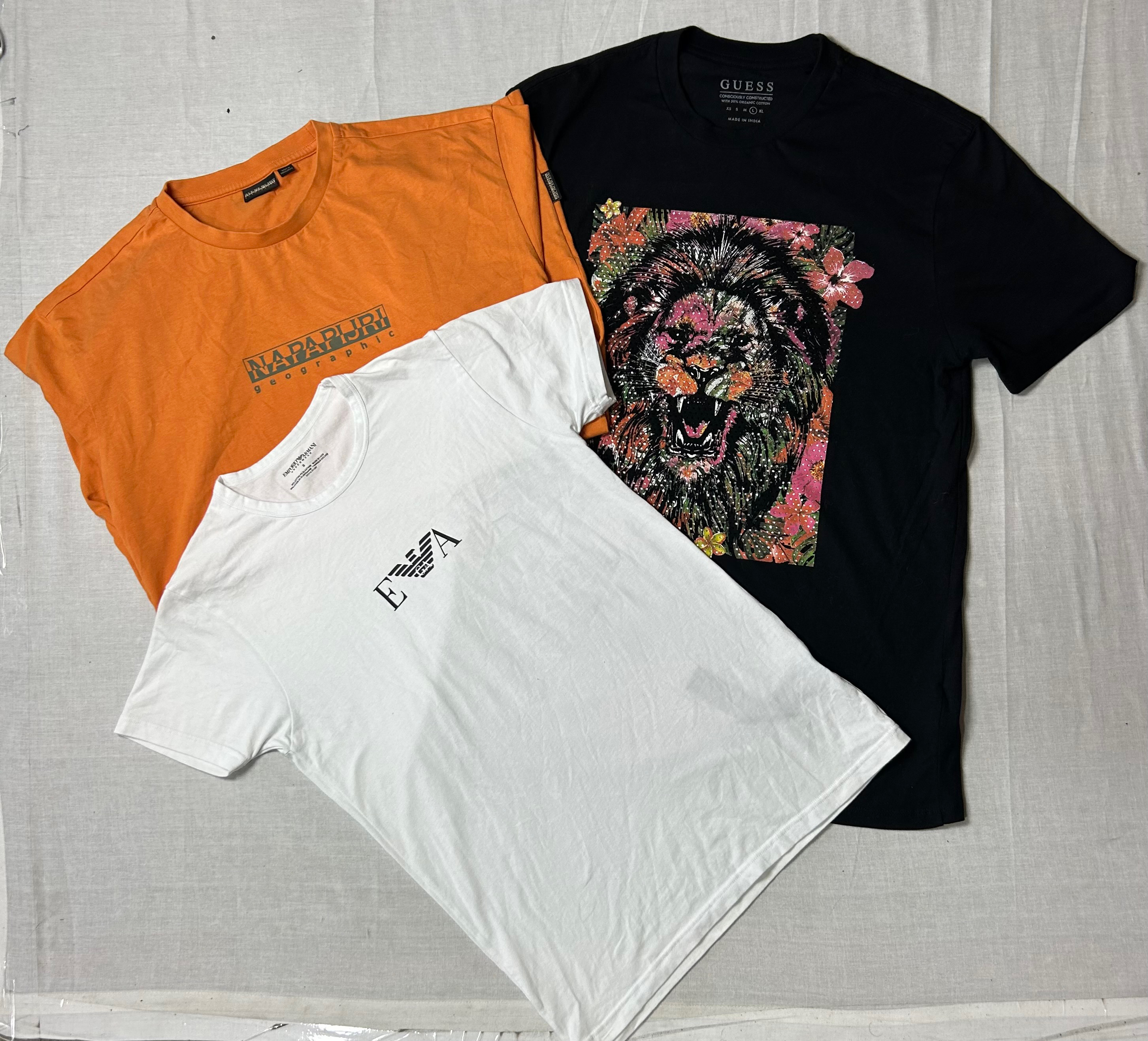 Armani & napapijri T-shirt MV_0057