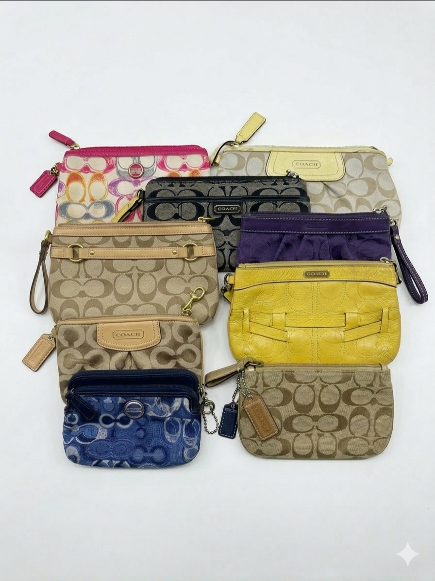 Coach Pouches