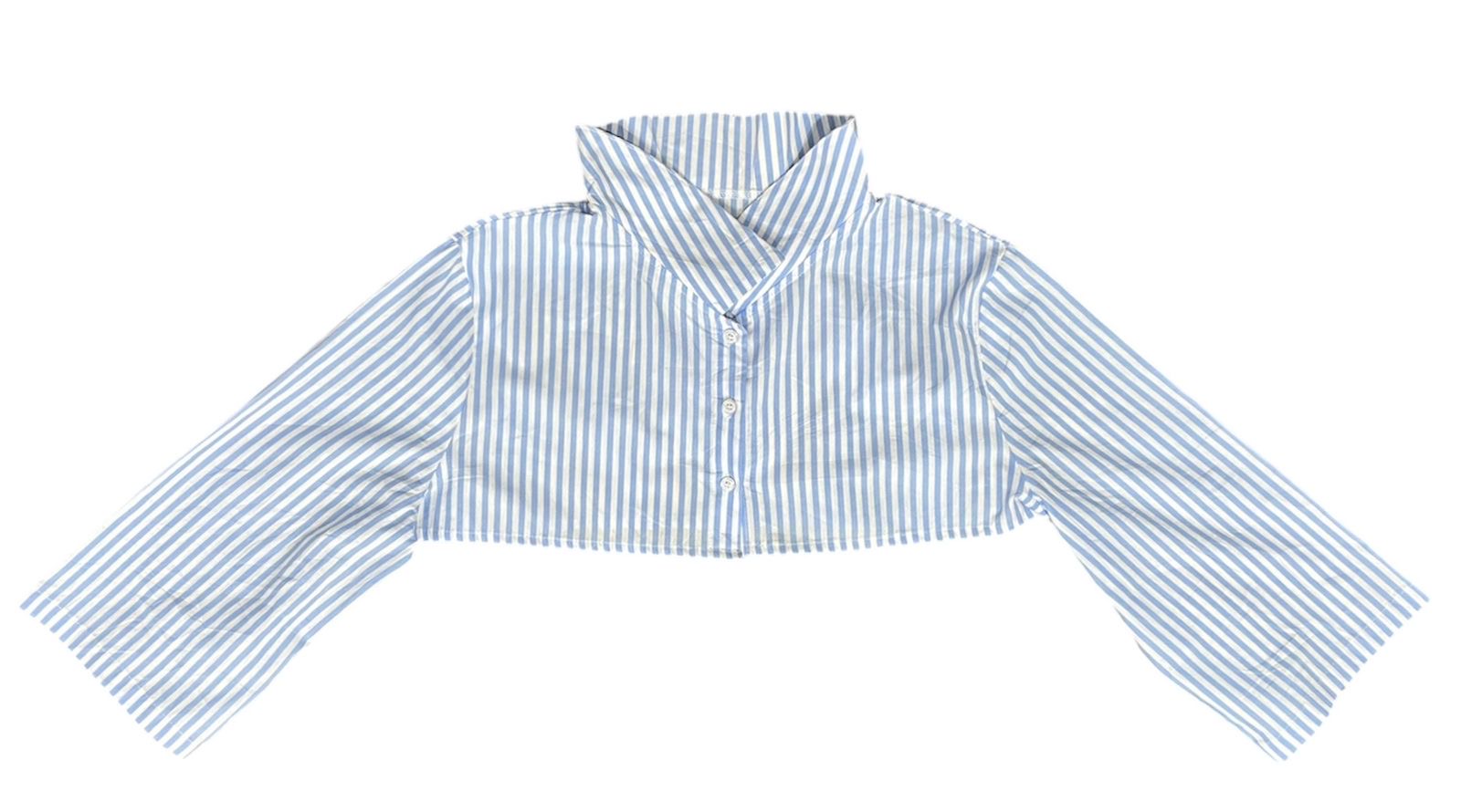 upcycled Crop Top Shirt