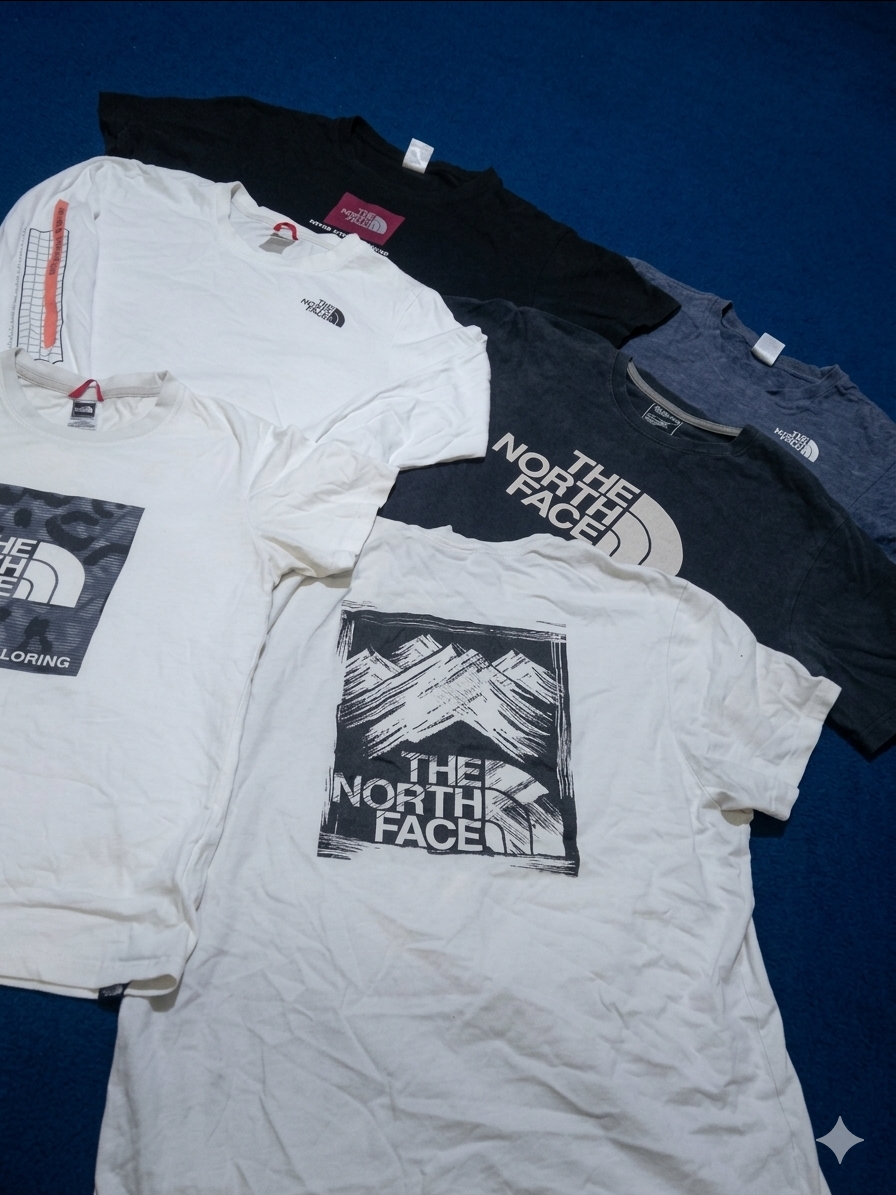 TEE-SHIRT THE NORTH FACE MARQUES PREMIUM