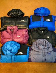 The North Face 700/900 13 pcs Puffer with Nike and..