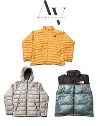 The north face puffers