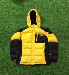 Vintage Vibes Die North Face Puffer-Kollektion