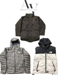 The north face puffers