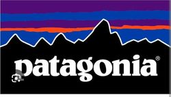 Patagonia Fleece Hommes et Femmes 21 Pièces