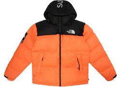 Les vestes doudoune The North Face 700 & 800 Nupts..