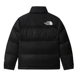 Die North Face Pufferjacken 10 Stück