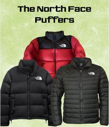 The north face puffers mix-25 pieces