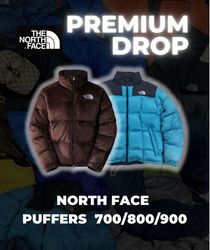 The north face puffers (700,800,900 series ) -20 p..