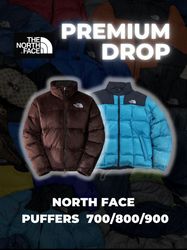 The north face nuptse puffers -10 pieces