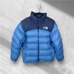 Premium The North Face Puffer Jacket