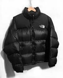 Doudounes Premium The North Face