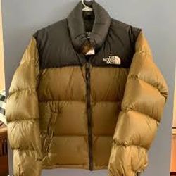 Premium The North Face Puffer Jackets