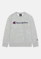 Champion  sweatshirt 10 pieces