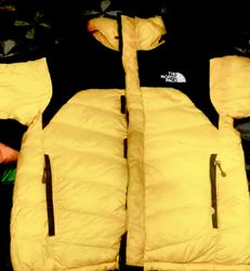 The North Face Puffer jacket 100 pcs